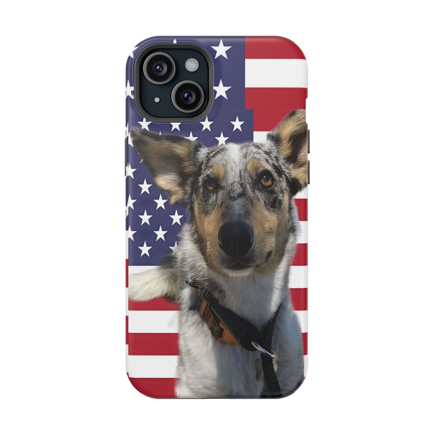 Estuches resistentes a impactos Bandit In America