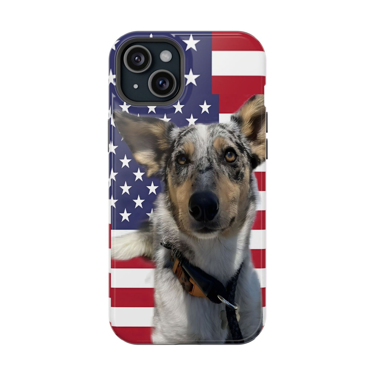 Estuches resistentes a impactos Bandit In America