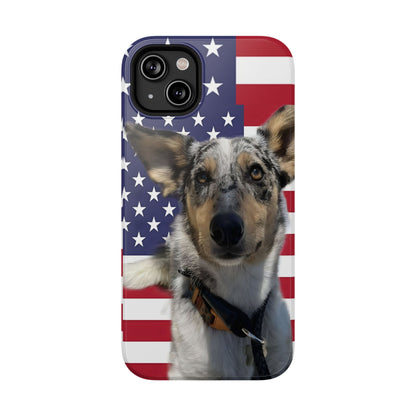 Estuches resistentes a impactos Bandit In America