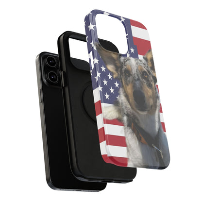 Estuches resistentes a impactos Bandit In America