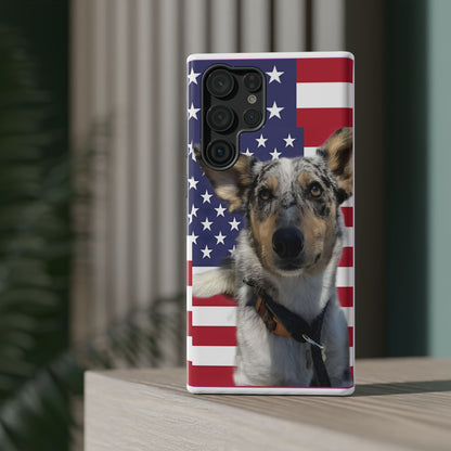 Estuches resistentes a impactos Bandit In America