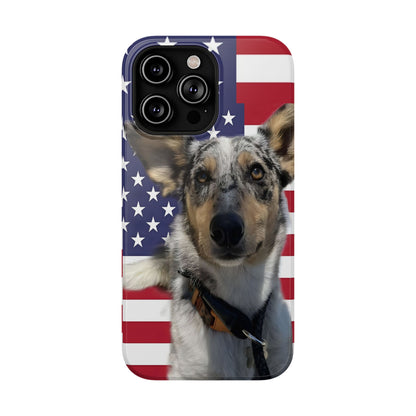 Estuches resistentes a impactos Bandit In America