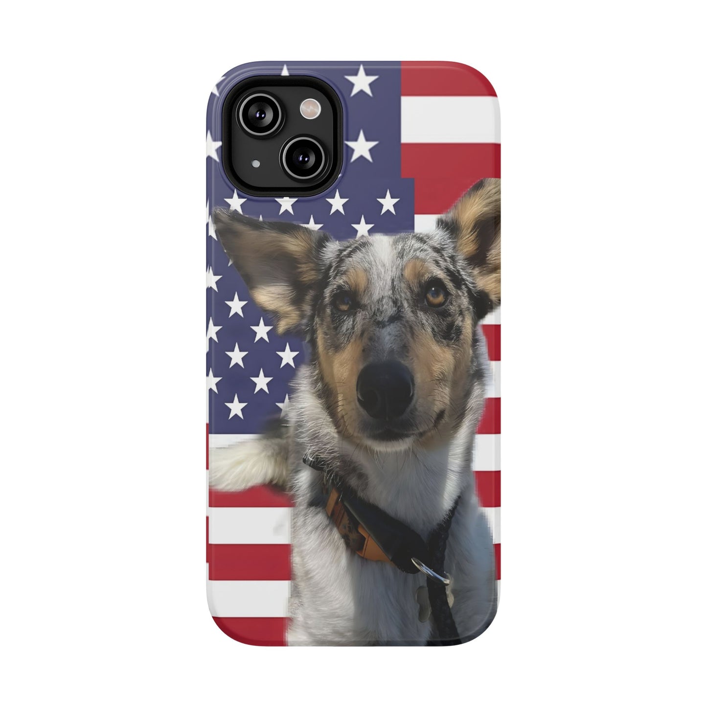 Estuches resistentes a impactos Bandit In America