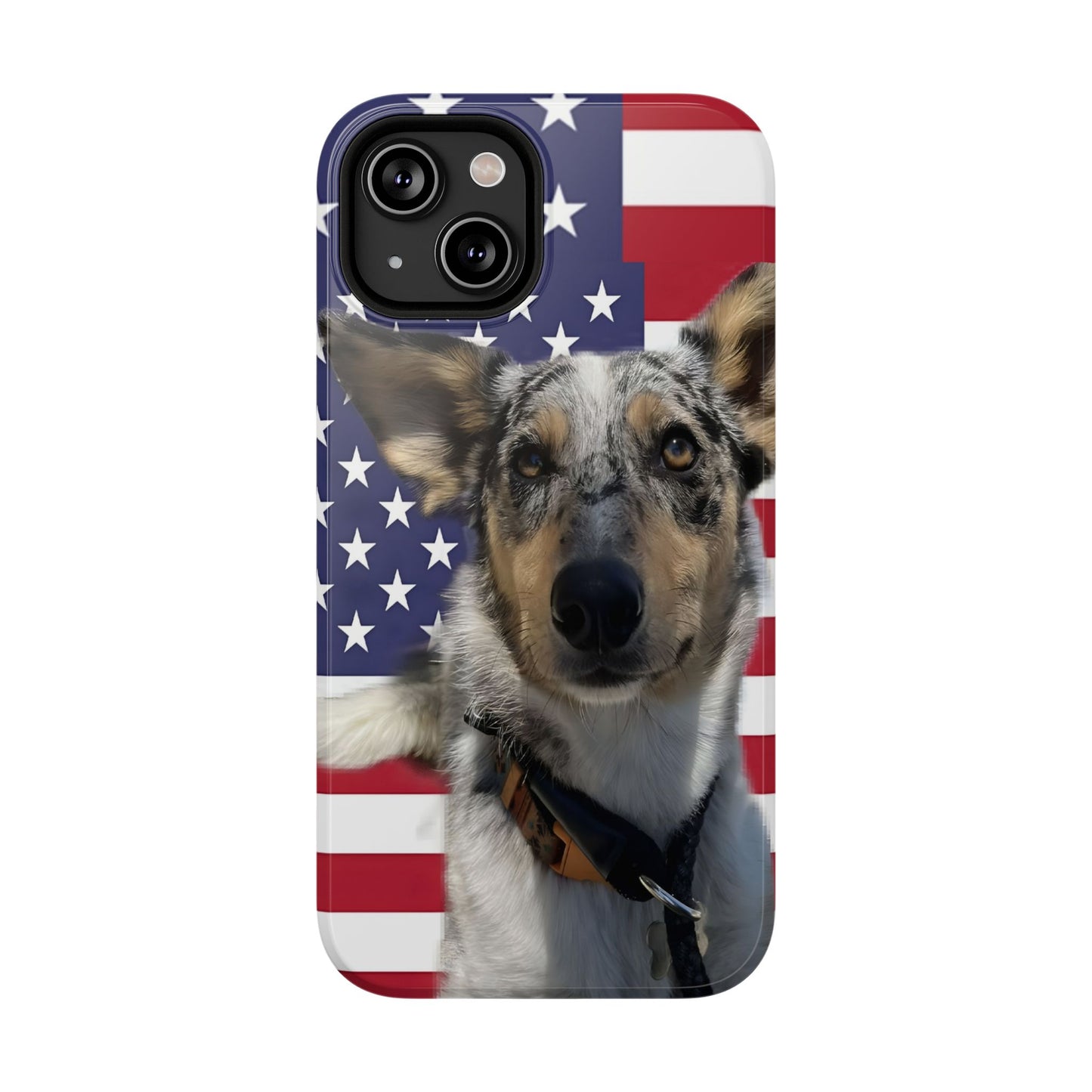 Estuches resistentes a impactos Bandit In America