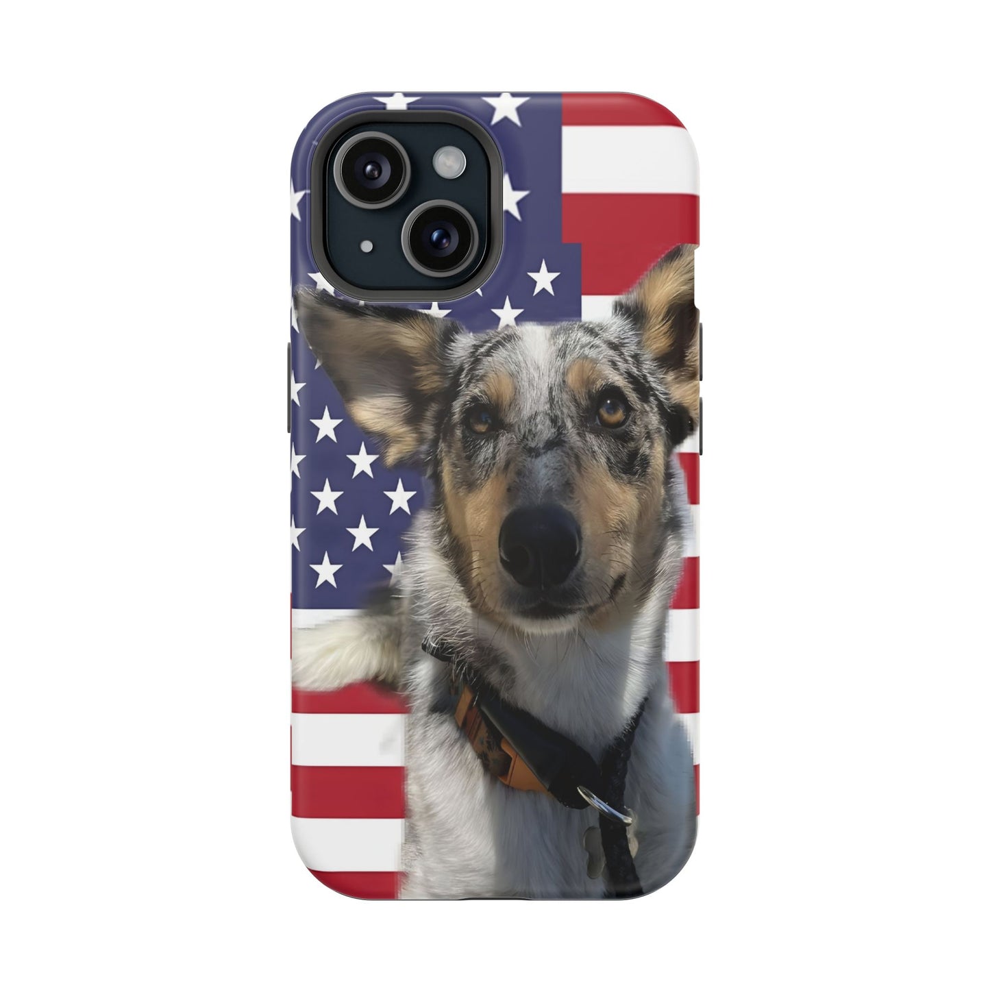 Estuches resistentes a impactos Bandit In America