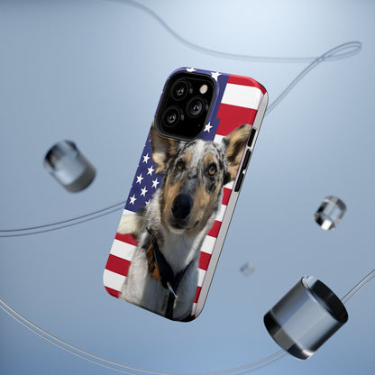 Estuches resistentes a impactos Bandit In America