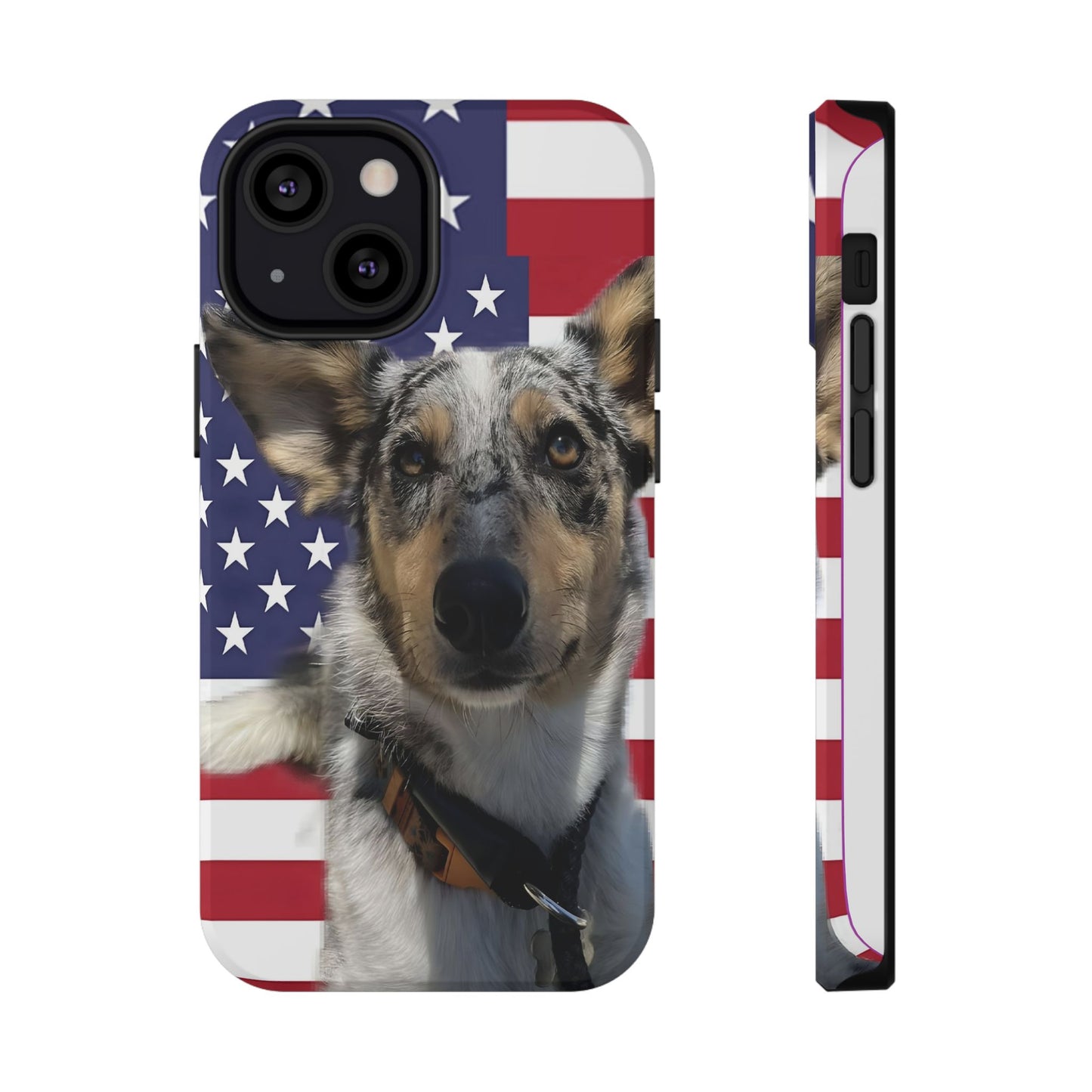 Estuches resistentes a impactos Bandit In America