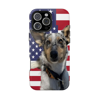 Estuches resistentes a impactos Bandit In America