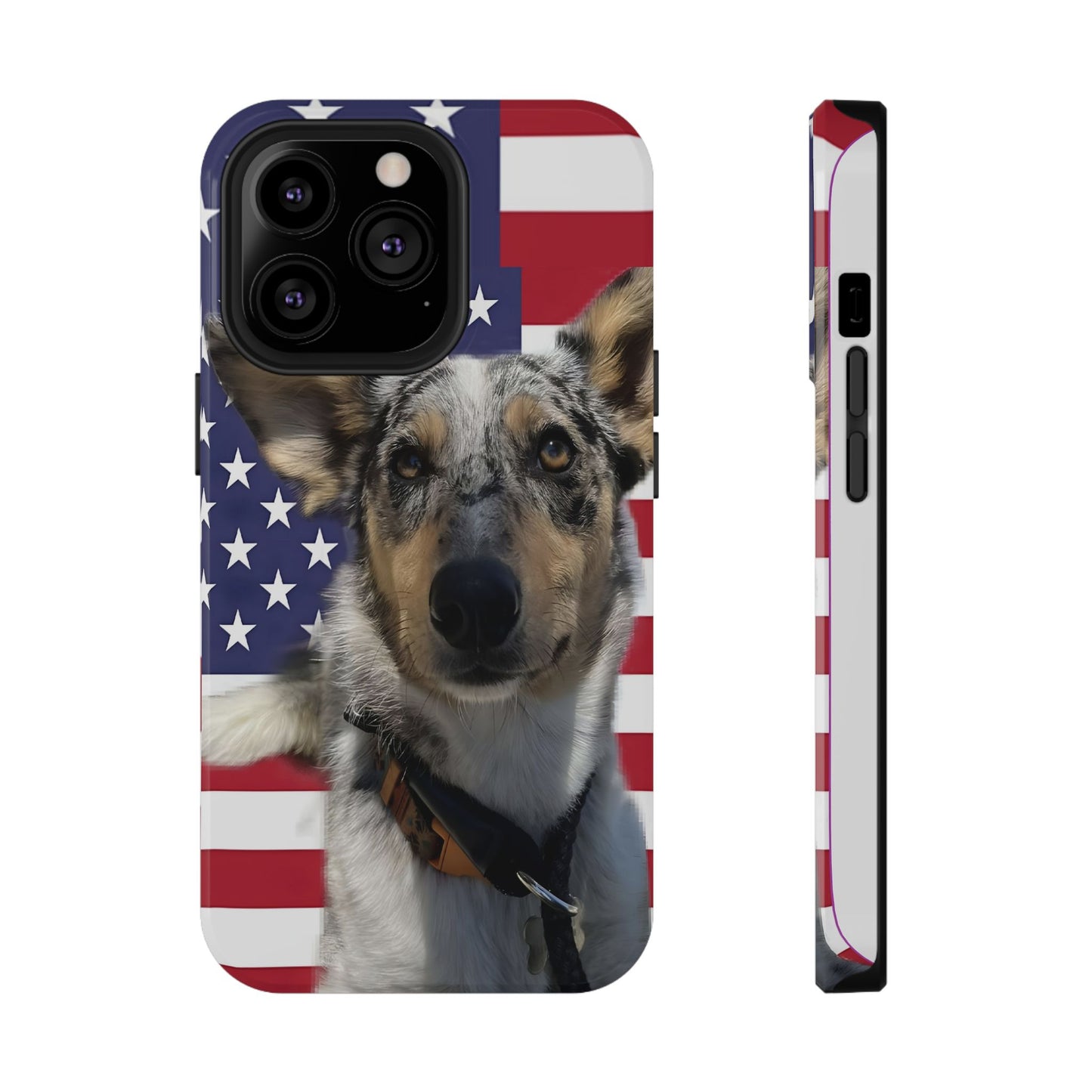 Estuches resistentes a impactos Bandit In America