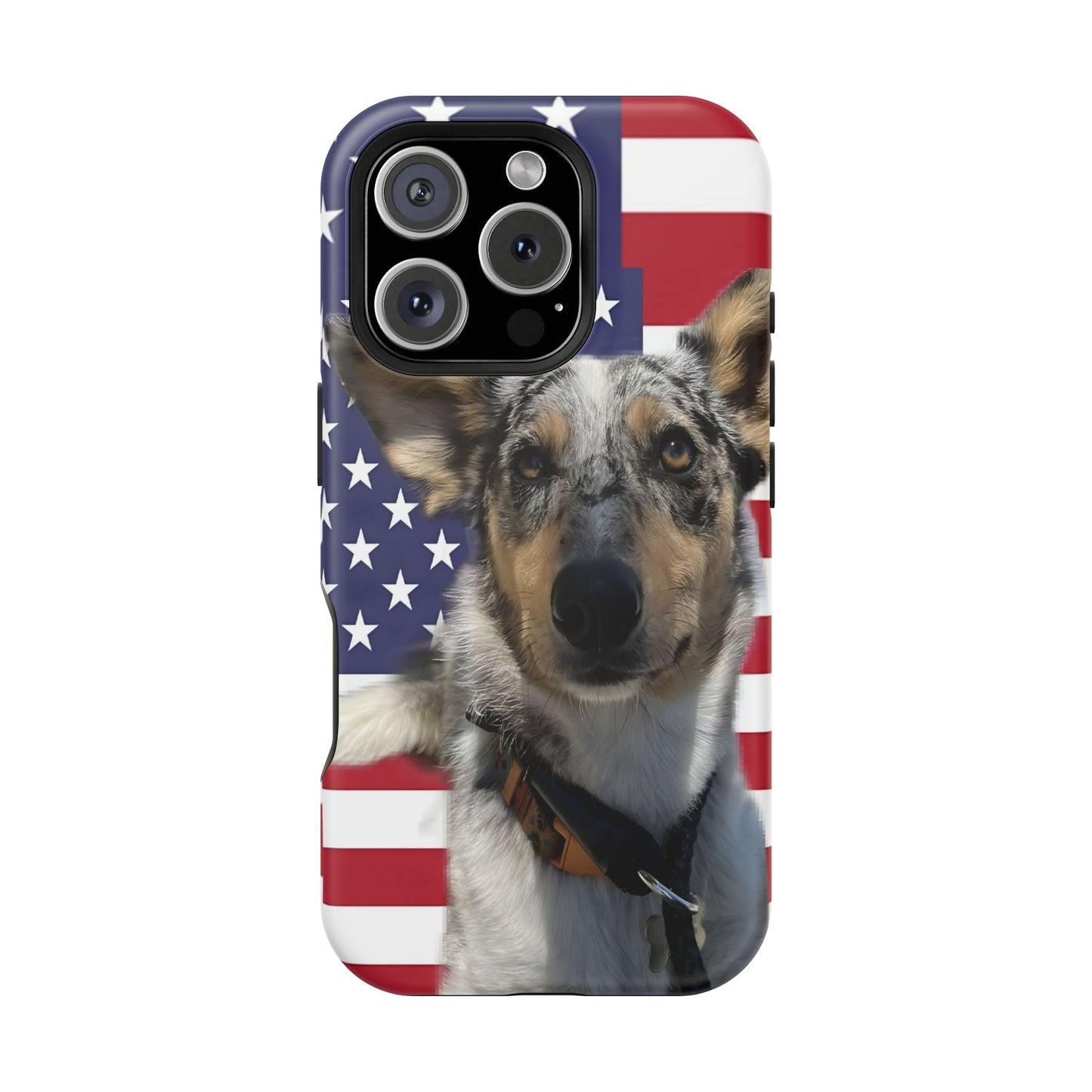 Estuches resistentes a impactos Bandit In America