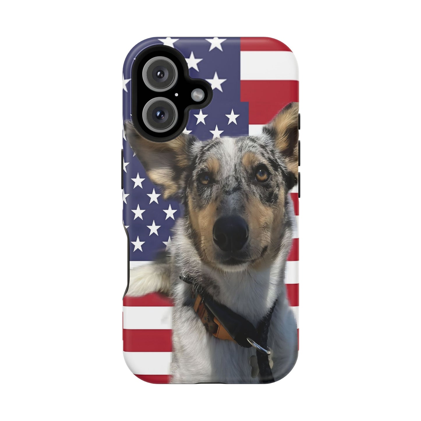 Estuches resistentes a impactos Bandit In America