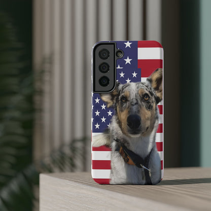 Estuches resistentes a impactos Bandit In America